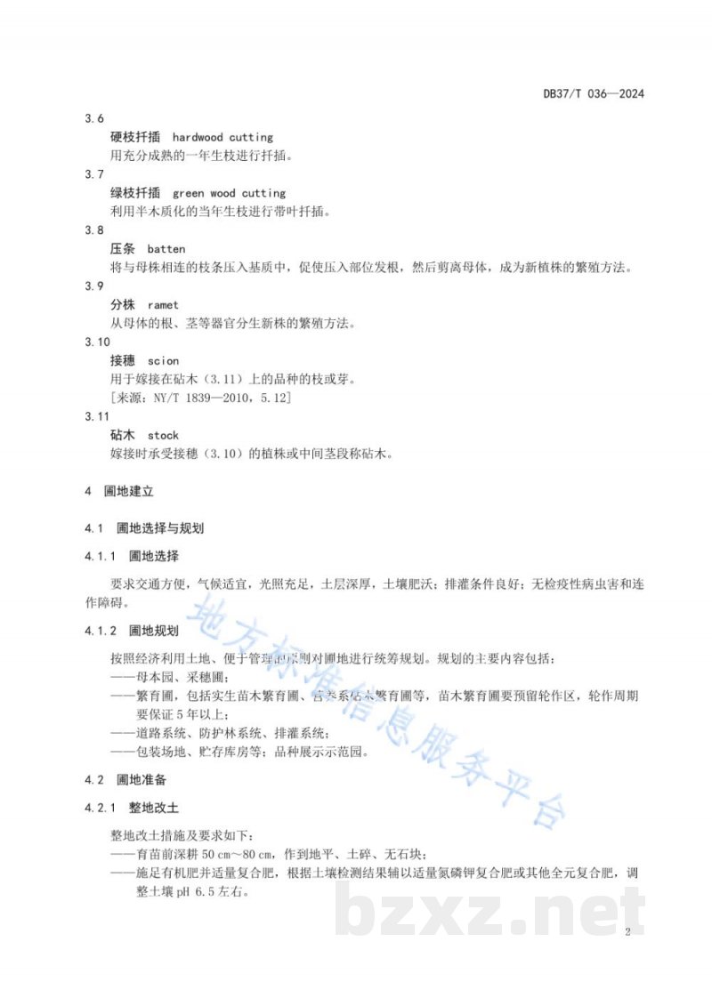 DB37/T 036-2024主要水果苗木培育技术规程