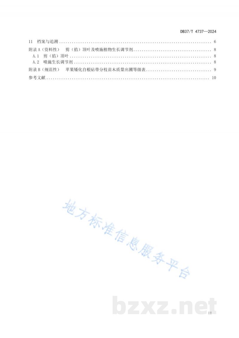 DB37/T 4737-2024苹果矮化自根砧带分枝苗木繁育技术要求