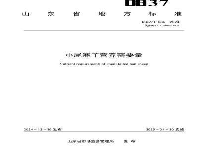 DB37/T 586-2024小尾寒羊营养需要量