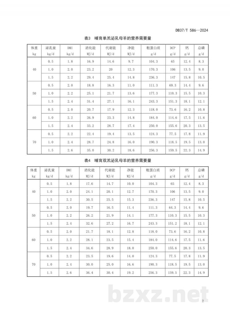 DB37/T 586-2024小尾寒羊营养需要量