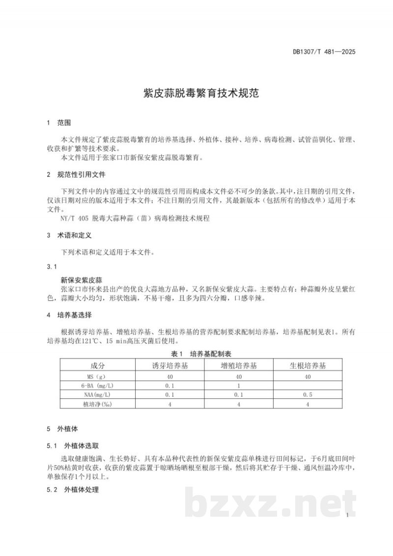 DB1307/T 481-2025紫皮蒜脱毒繁育技术规范
