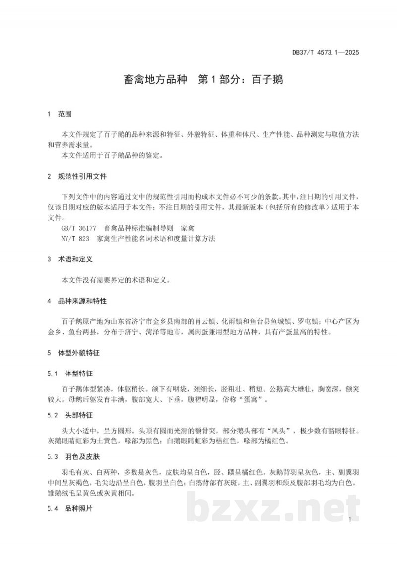 DB37/T 4573.1-2025畜禽地方品种 第1部分：百子鹅