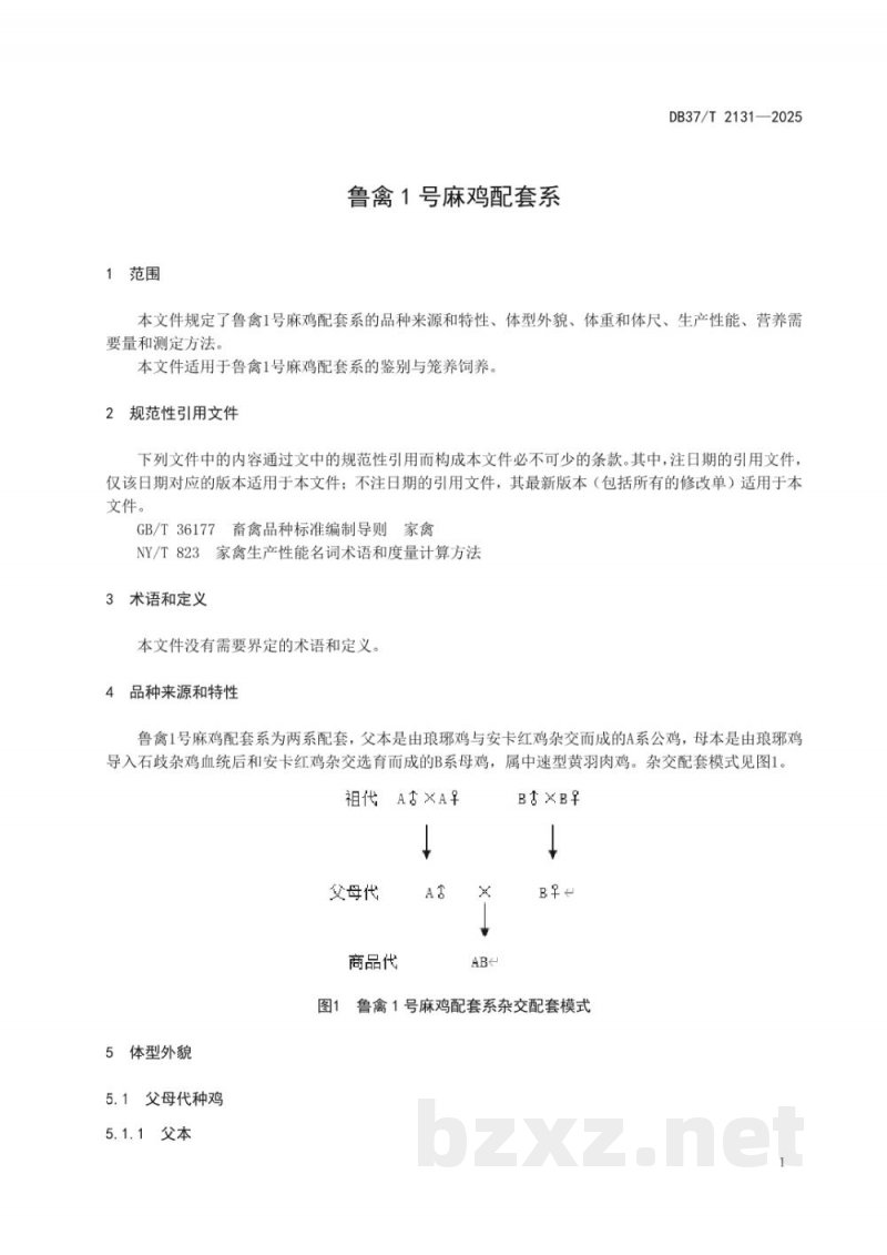 DB37/T 2131-2025鲁禽1号麻鸡配套系