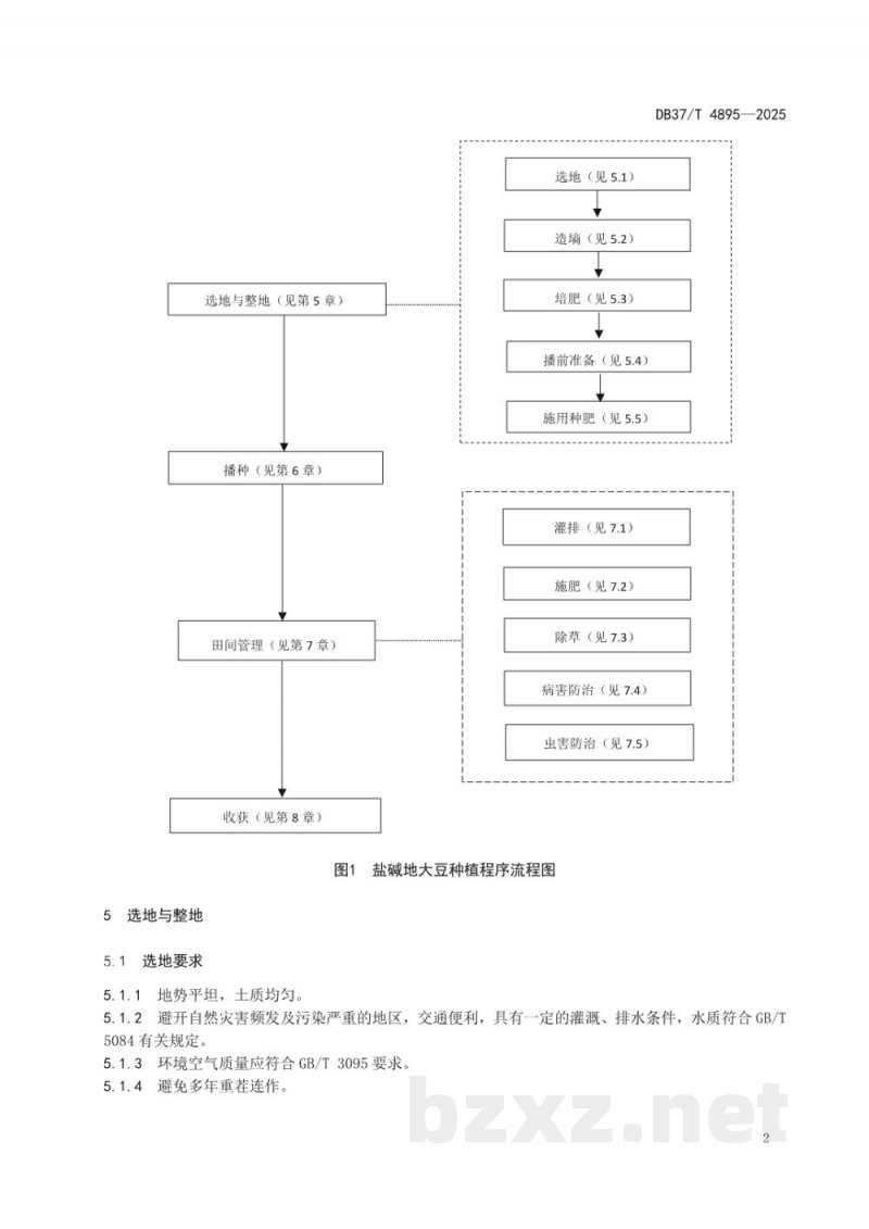 DB37/T 4895-2025盐碱地大豆种植技术规程