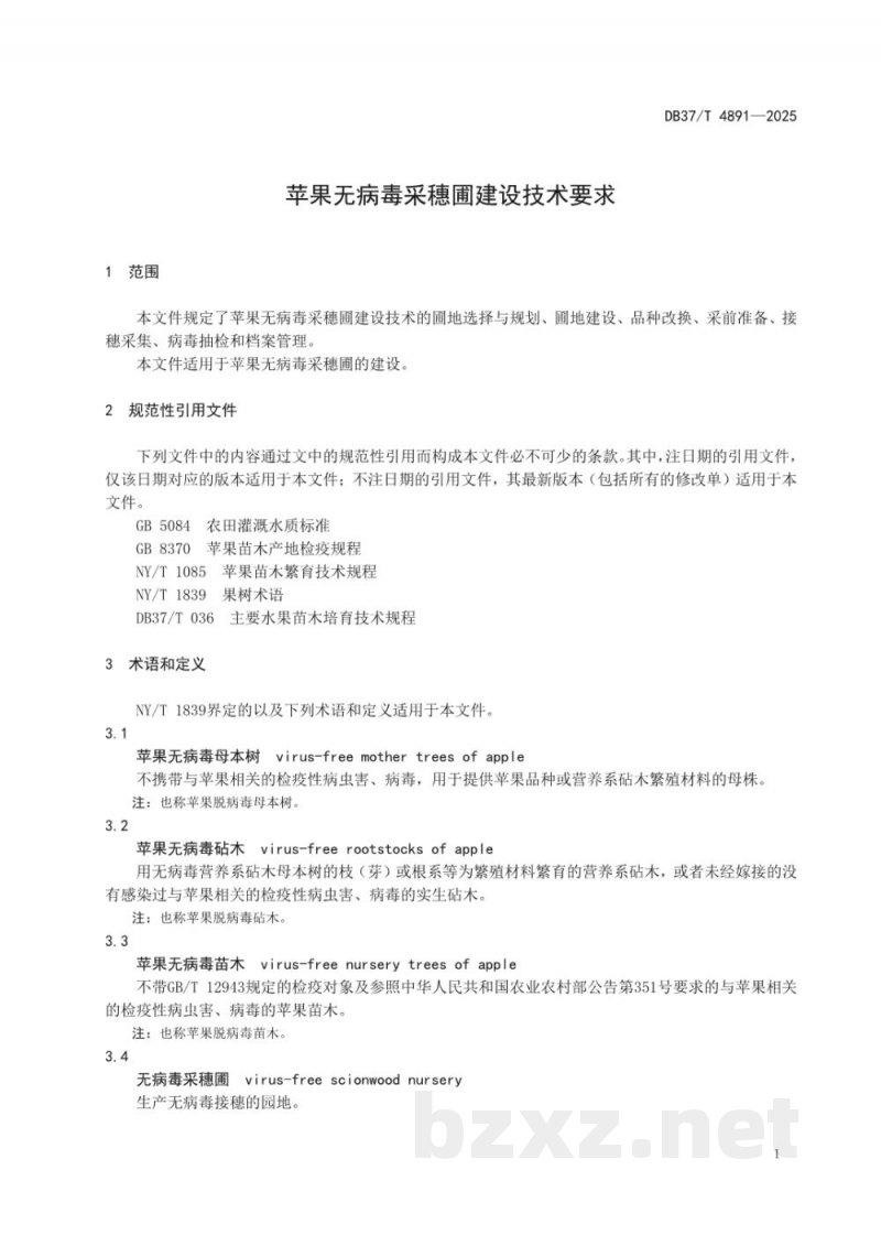 DB37/T 4891-2025苹果无病毒采穗圃建设技术要求