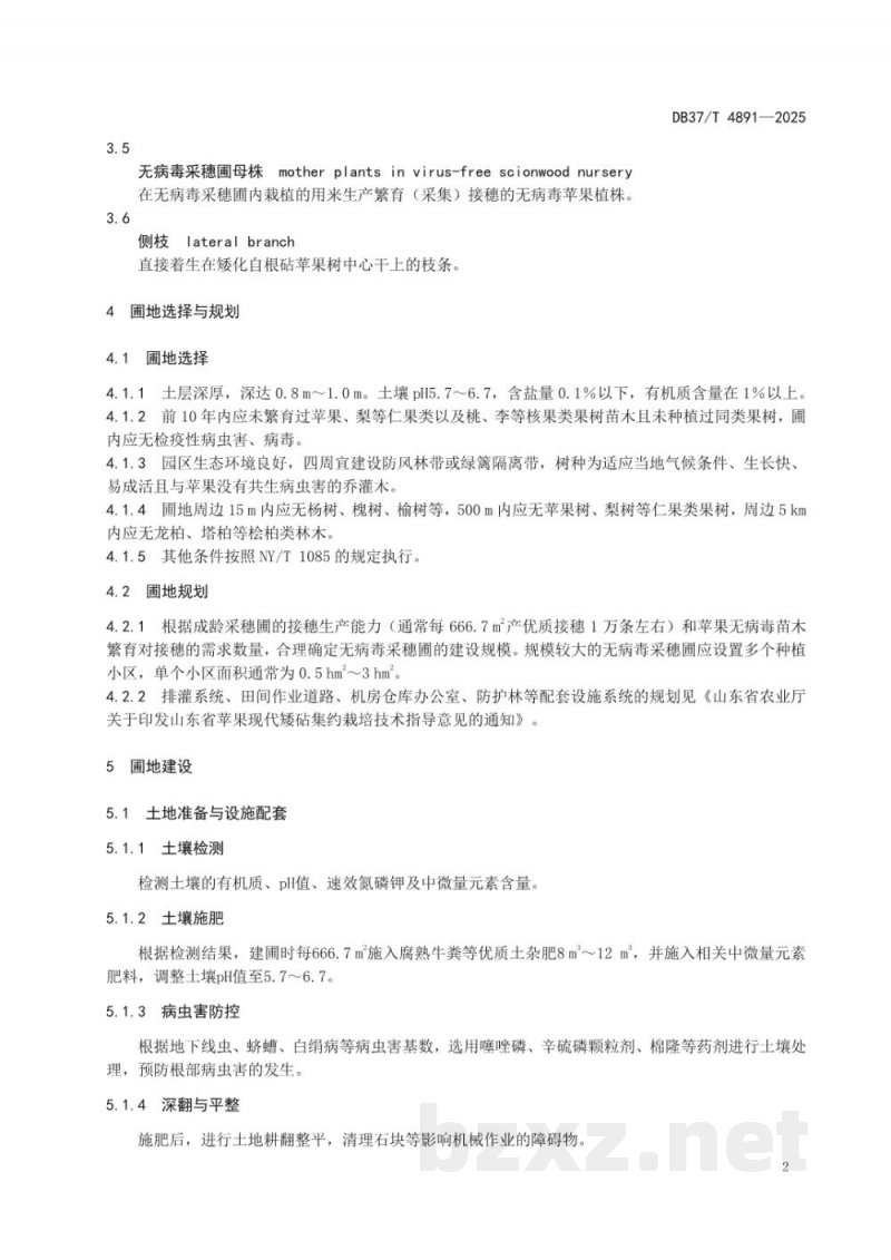 DB37/T 4891-2025苹果无病毒采穗圃建设技术要求