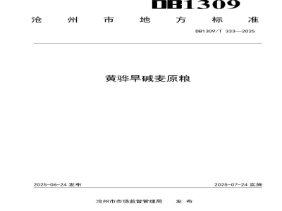 DB1309/T 333-2025黄骅旱碱麦原粮