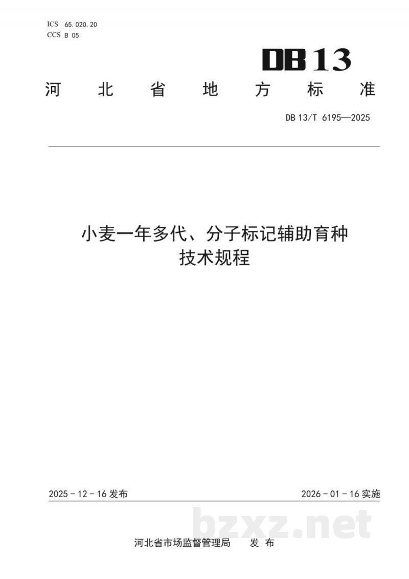 DB13/T 6195-2025小麦一年多代、分子标记辅助育种技术规程