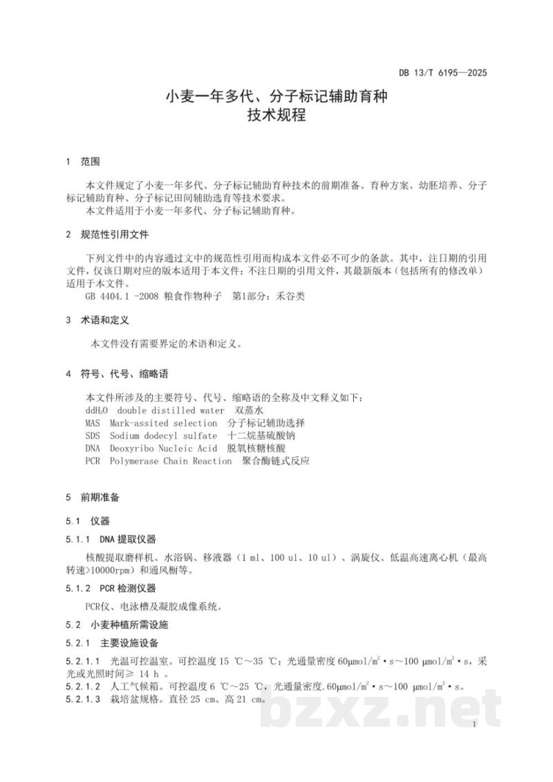 DB13/T 6195-2025小麦一年多代、分子标记辅助育种技术规程