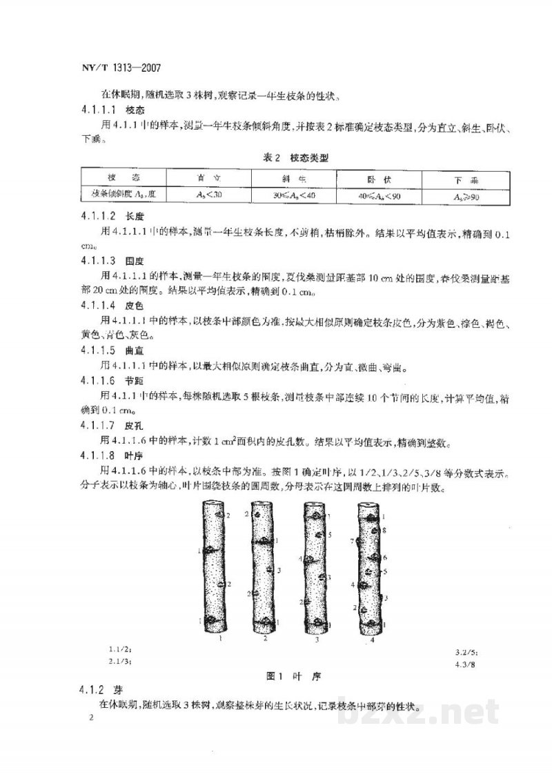 NY/T 1313-2007农作物种质资源鉴定技术规程桑树