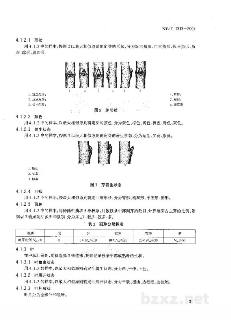 NY/T 1313-2007农作物种质资源鉴定技术规程桑树