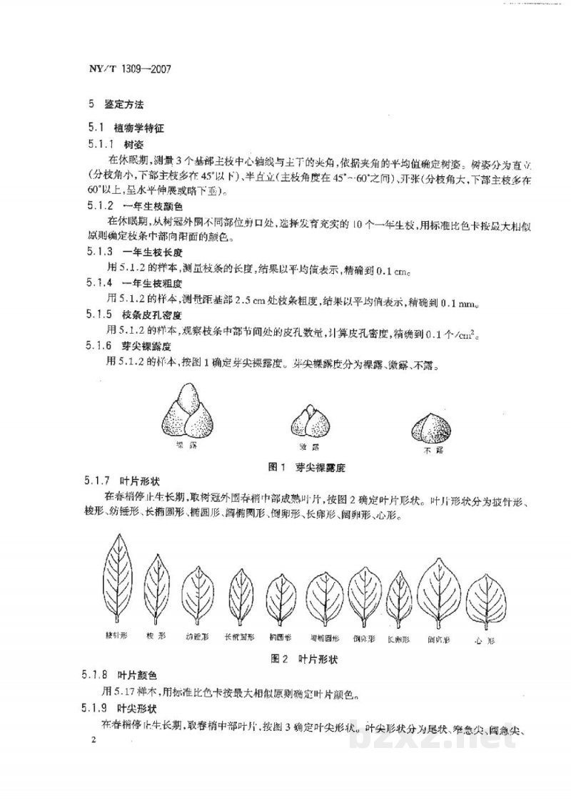 NY/T 1309-2007农作物种质资源鉴定技术规程柿