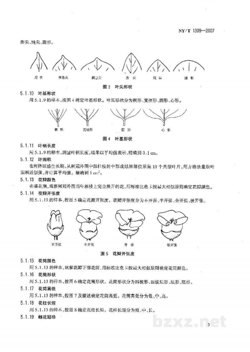 NY/T 1309-2007农作物种质资源鉴定技术规程柿