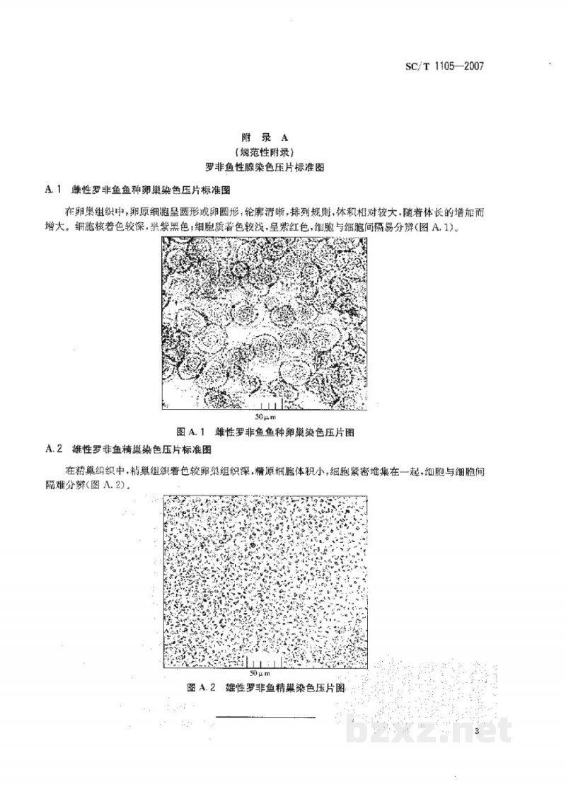 SC/T 1105-2007罗非鱼鱼种性别鉴定方法