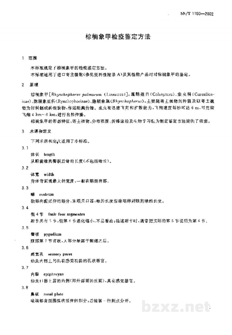 SN/T 1160-2002棕榈象甲检疫鉴定方法