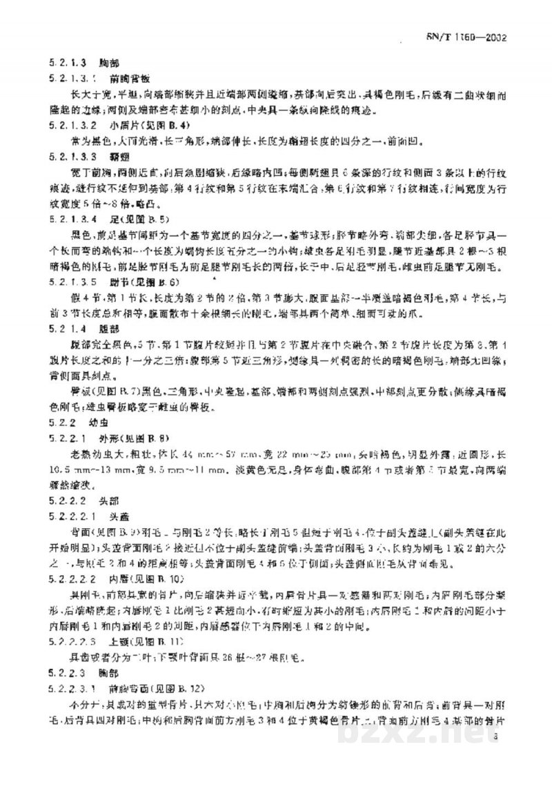 SN/T 1160-2002棕榈象甲检疫鉴定方法