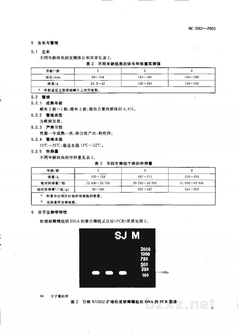 SC 1062-2003松浦银鲫