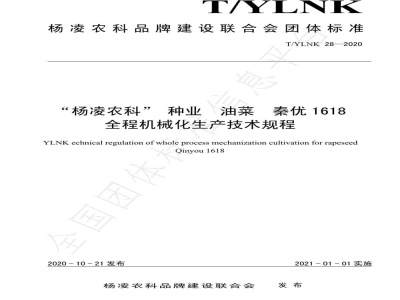 T/YLNK 28-2020“杨凌农科” 种业  油菜  秦优1618 全程机械化生产技术规程