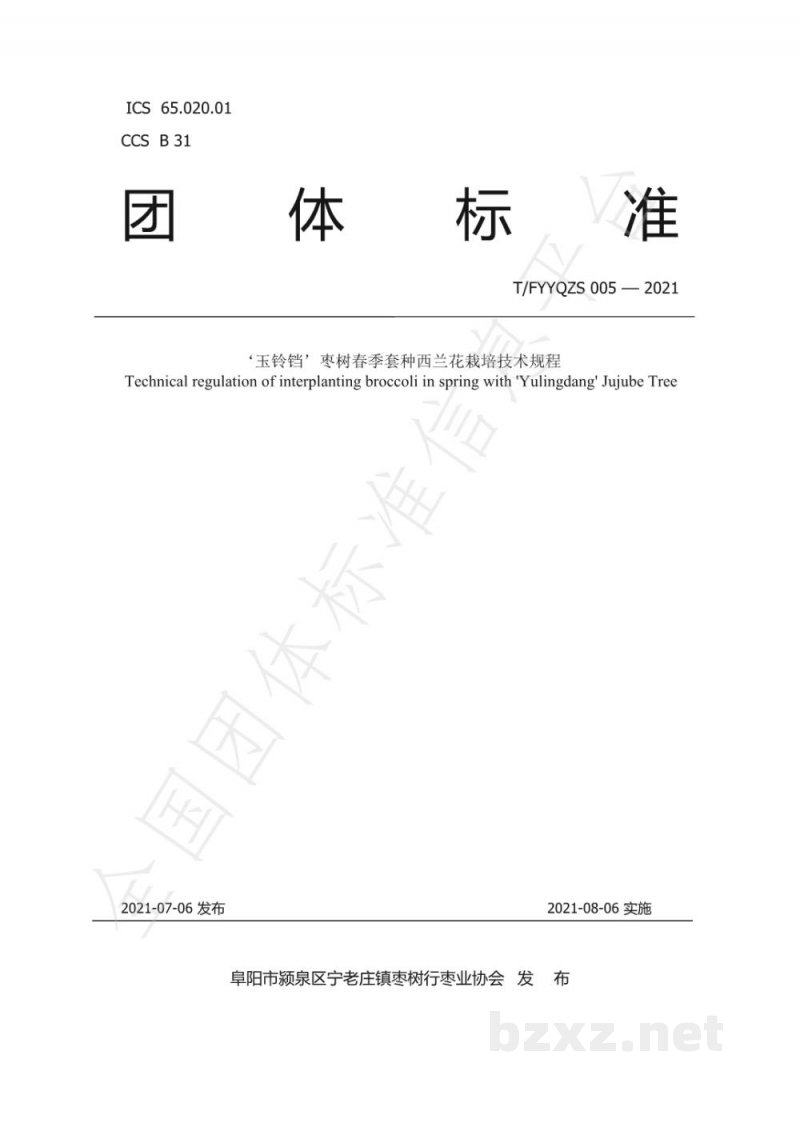 T/FYYQZS 005-2021‘玉铃铛’枣树春季套种西兰花栽培技术规程