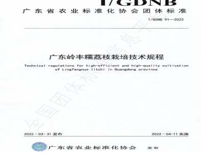 T/GDNB 91-2022广东岭丰糯荔枝优质高效栽培技术规程