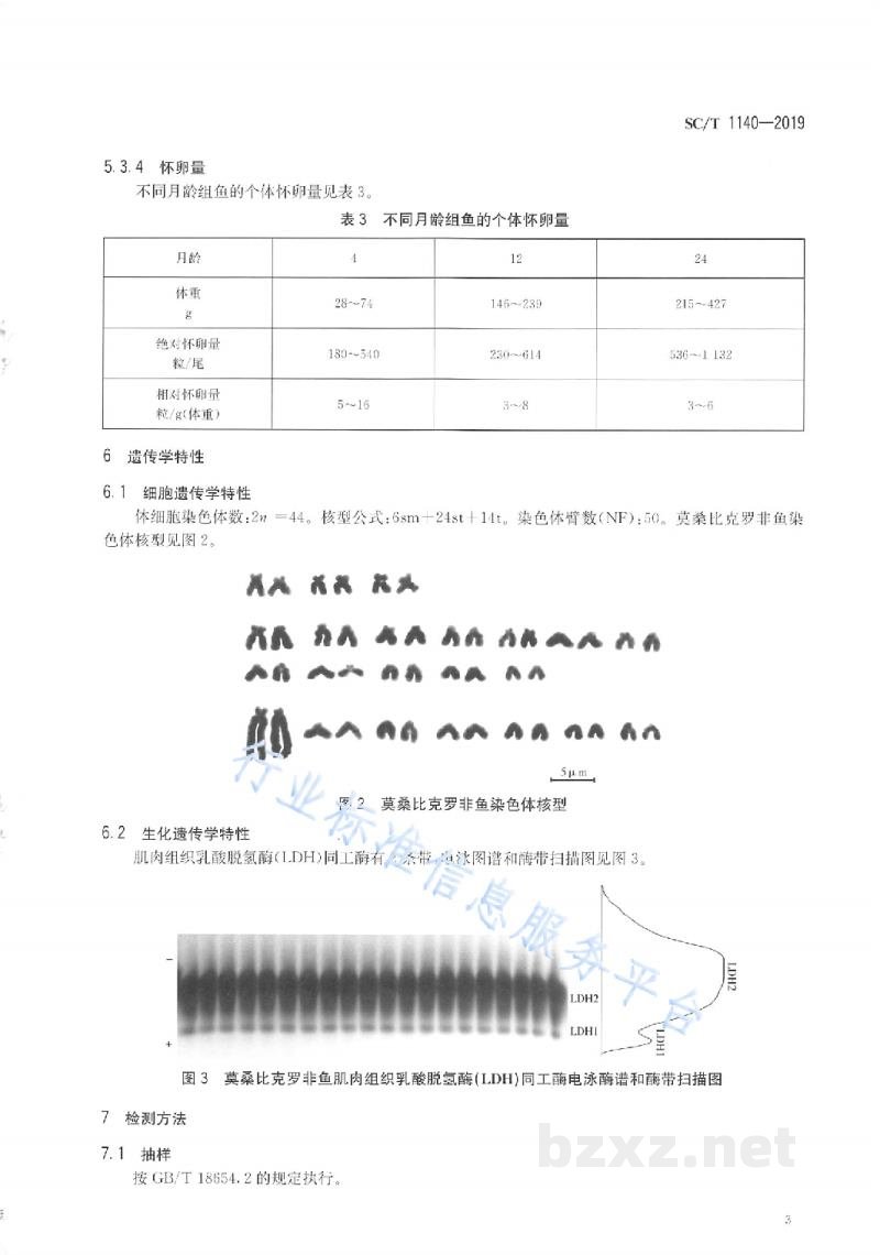SC/T 1140-2019莫桑比克罗非鱼