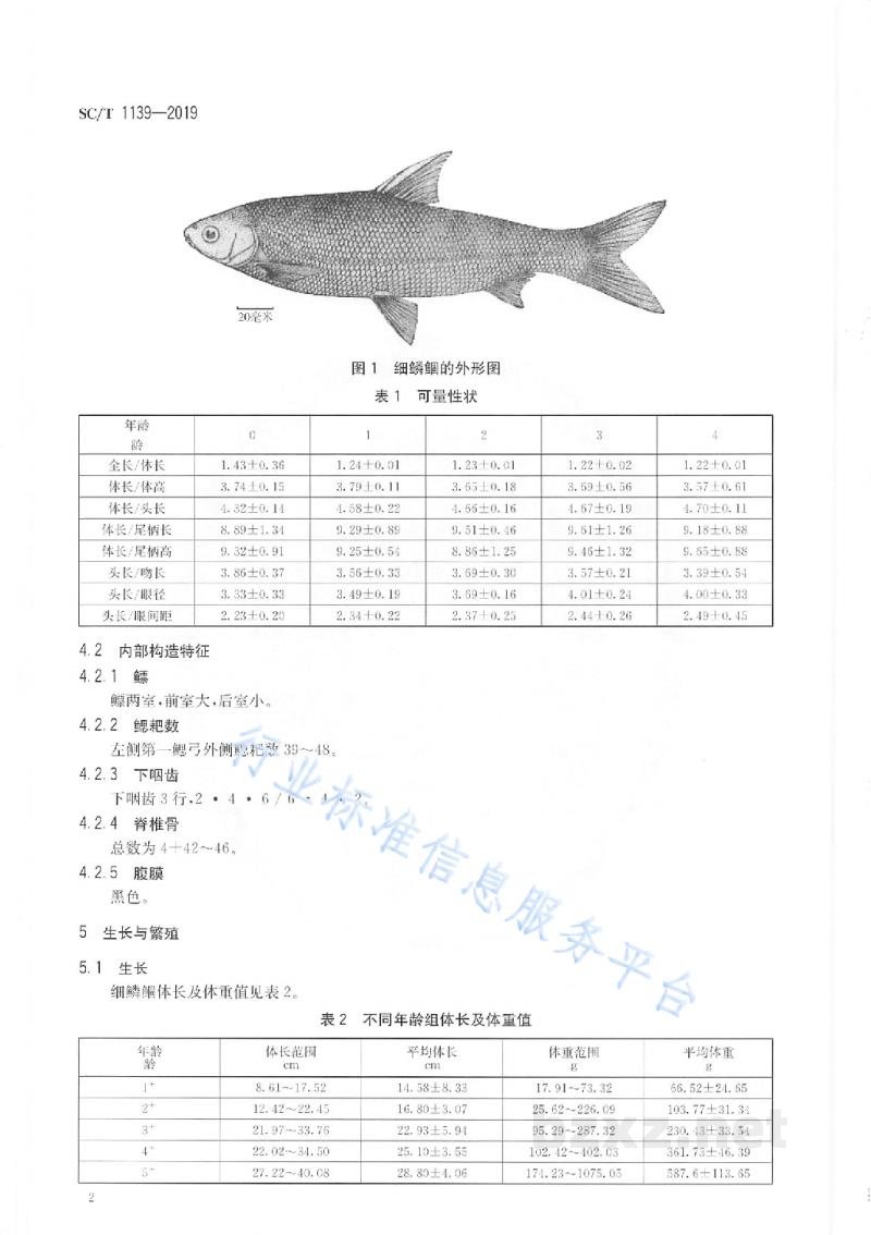 SC/T 1139-2019细鳞鲴