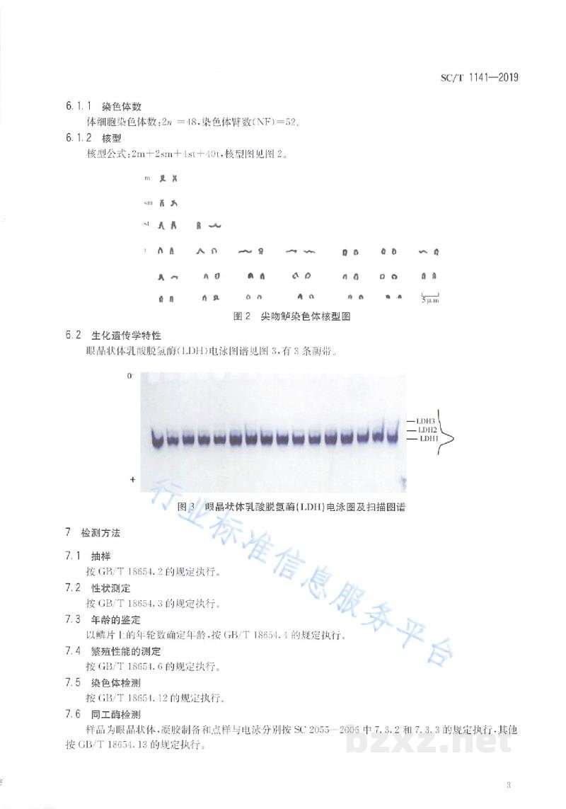 SC/T 1141-2019尖吻鲈