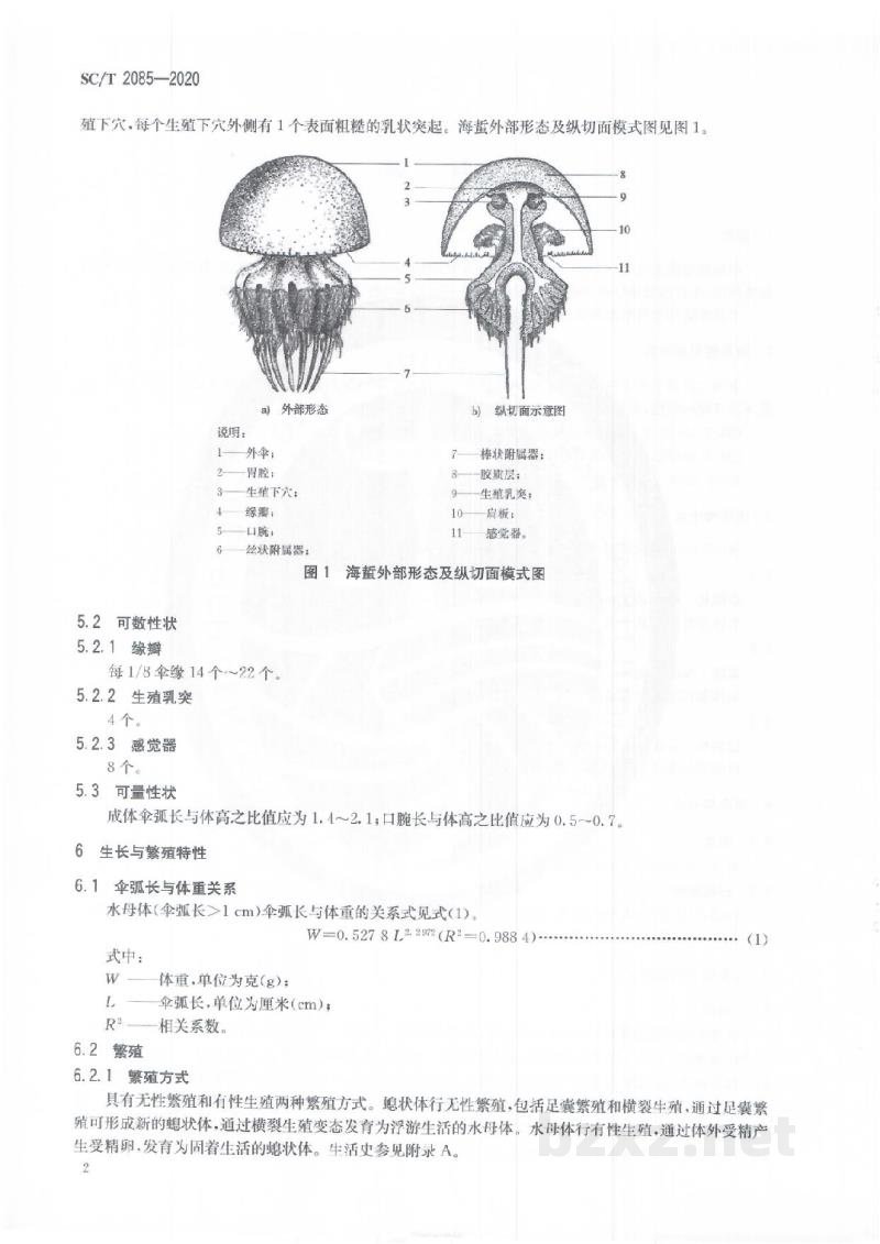 SC/T 2085-2020海蜇