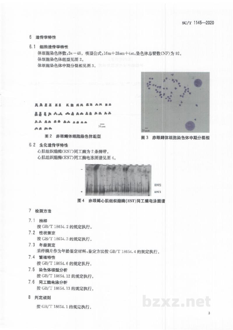 SC/T 1145-2020赤眼鳟