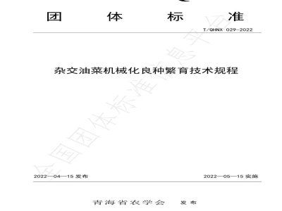 T/QHNX 029-2022杂交油菜机械化良种繁育技术规程