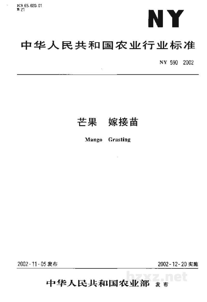 NY 590-2002芒果　嫁接苗