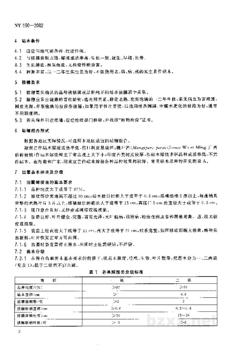 NY 590-2002芒果　嫁接苗