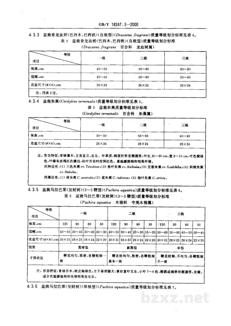 GB/T 18247.3-2000主要花卉产品等级　第3部分：盆栽观叶植物