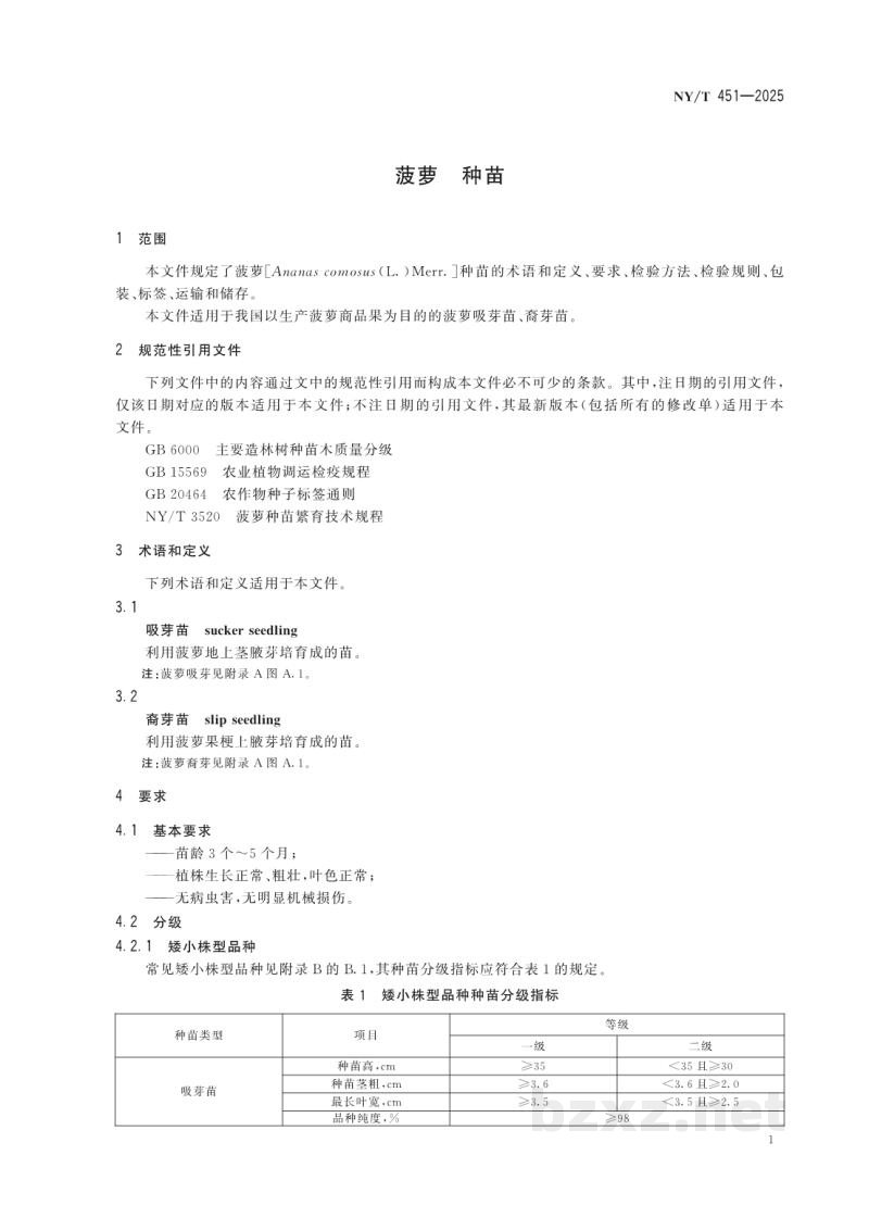 NY/T 451-2025菠萝 种苗