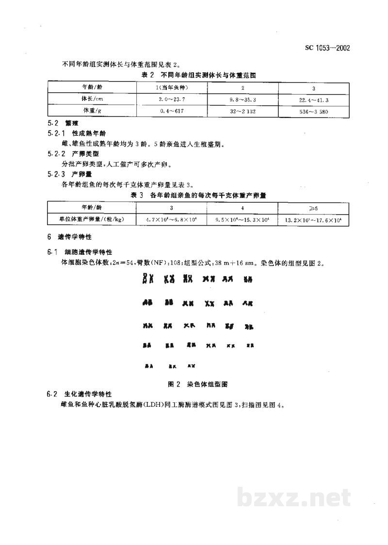 SC 1053-2002短盖巨脂鲤