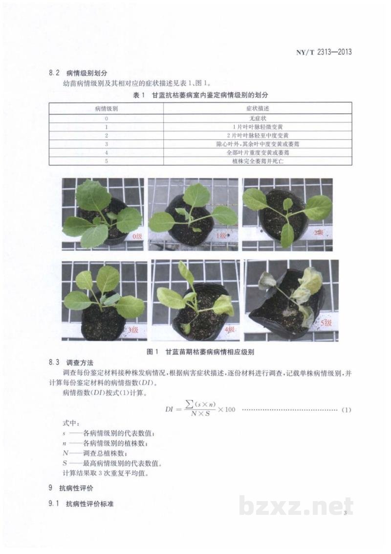 NY/T 2313-2013甘蓝抗枯萎病鉴定技术规程