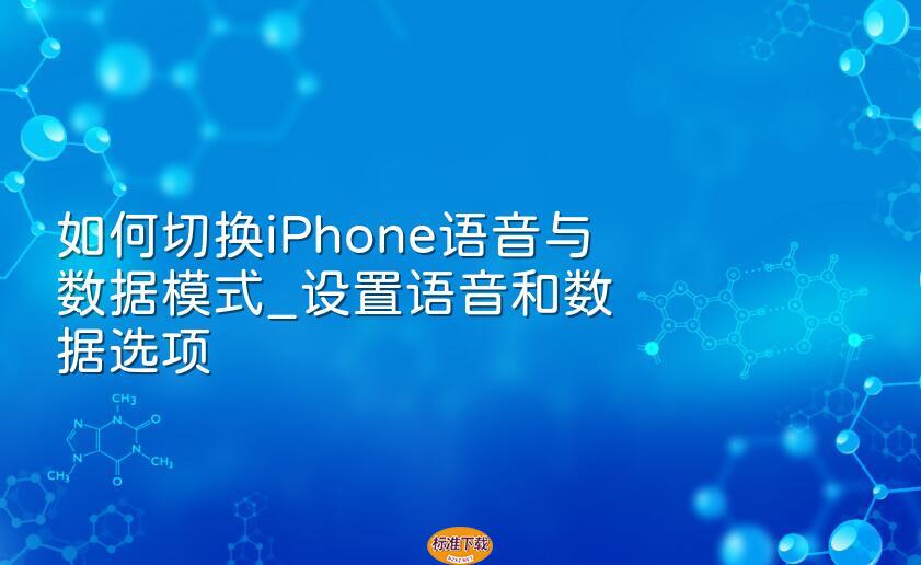 如何切换iPhone语音与数据模式_设置语音和数据选项
