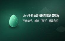 vivo手机相机设置中的语音控制拍照功能开启方法
