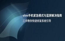 vivo手机显示进入紧急模式 并出现蓝屏的解决办法