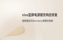 vivo手机蓝屏且电源键无响应的处理方案