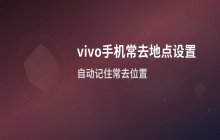 vivo手机 地图功能 常去地点的添加与设置