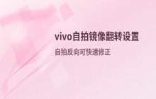 vivo手机自拍模式下的镜像翻转功能设置说明