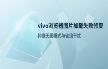 vivo浏览器网页图片加载失败原因分析_解决图片无法显示问题
