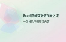 Excel快捷键：隐藏数据透视表指定区域内容