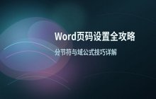 Word 2003页码设置常见方法汇总解析