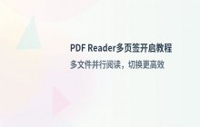 PDF Reader软件开启多页签阅读模式的设置技巧
