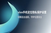 在vivo手机中开启定位隐私保护功能的设置