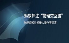 蚂蚁集团布局物理交互脑技术 旨在提升机器人的触觉感知与交互能力