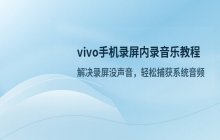 vivo手机录屏时 能否录制系统内部播放的音乐