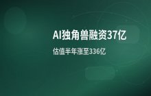 AI独角兽完成37亿融资，企业估值升至336亿